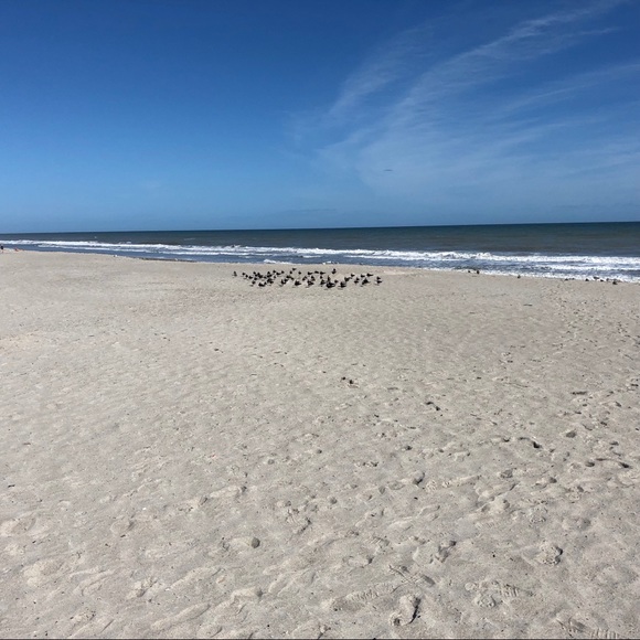 Michael Kors Sandle - Picture 1 of 4